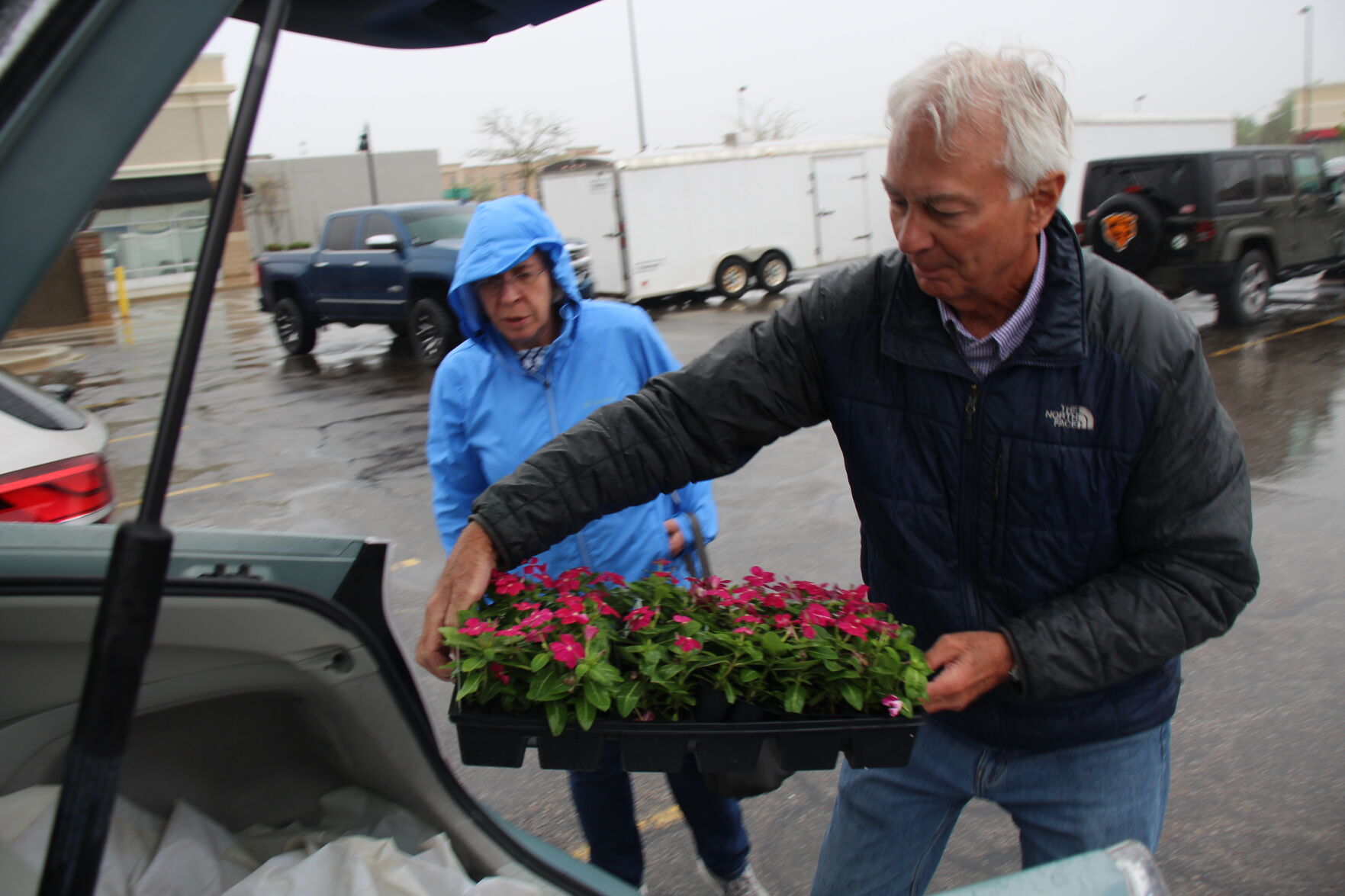 From adjudication to vegetation